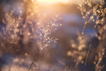 深岩之洲任务(深岩之洲任务线全部路线)